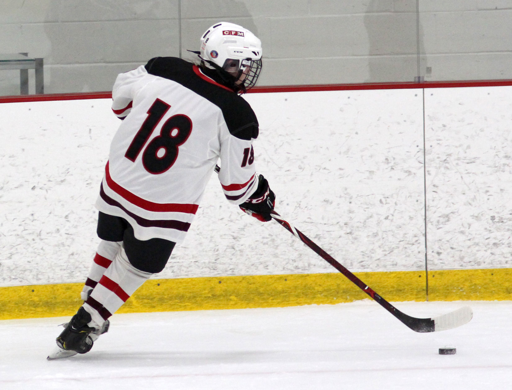 Medford at Chippewa Falls/Menomonie girls hockey 1-30-20
